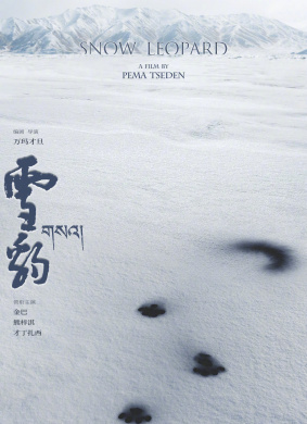 雪豹Snow Leopard