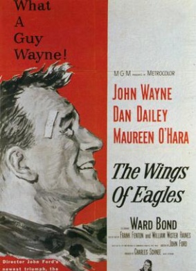碧血溅长空The Wings of Eagles