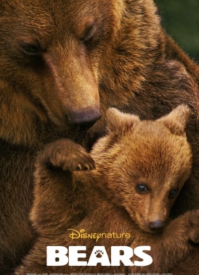 熊Bears