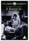 阳光下成长A Raisin in the Sun