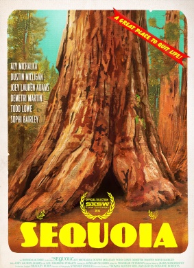 红杉树Sequoia