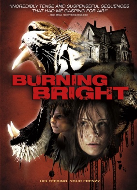 燃烧的夜晚Burning Bright