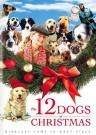 圣诞节的12只小狗The 12 Dogs of Christmas