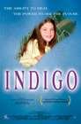 天赋异灵Indigo